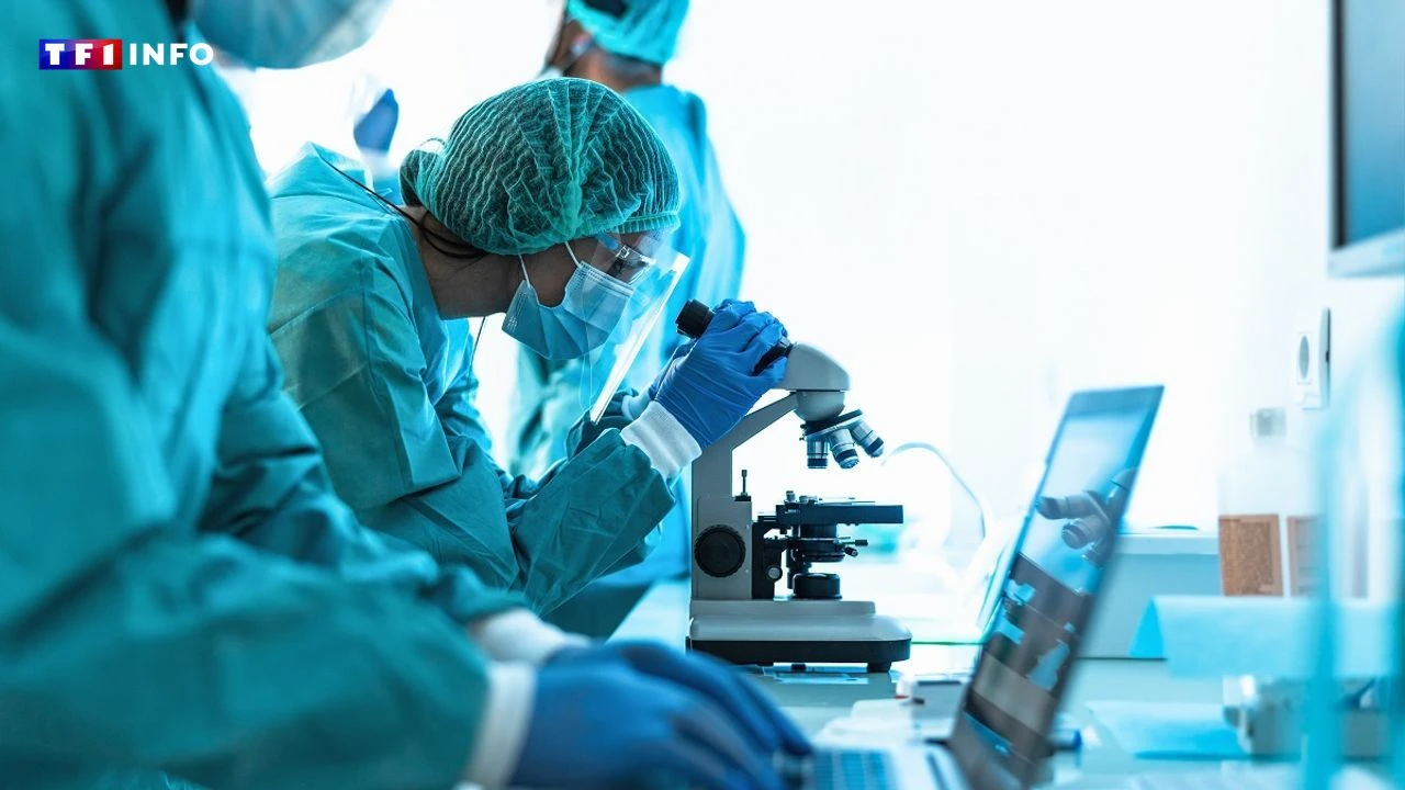 Covid-19 : symptômes, progression en France... Ce que l'on sait du variant Pirola et de son descendant