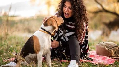 Vous changez de voix quand vous parlez à votre chien ? Les chercheurs ont une explication à ce phénomène