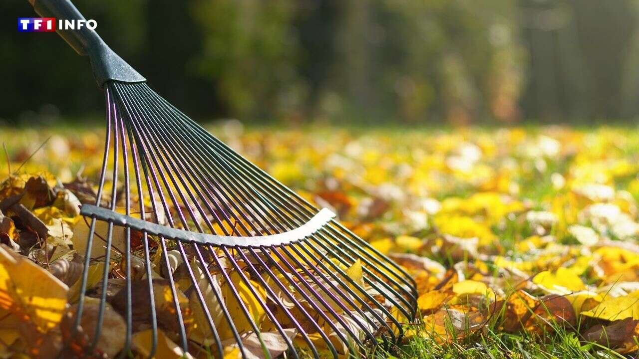 A-t-on le droit de brûler des feuilles mortes dans son jardin ?