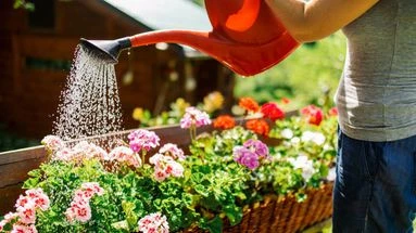 Ce que vous devez absolument faire avant de partir en vacances pour que votre jardin survive en votre absence