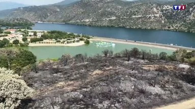 Après les incendies : le tourisme à l'arrêt