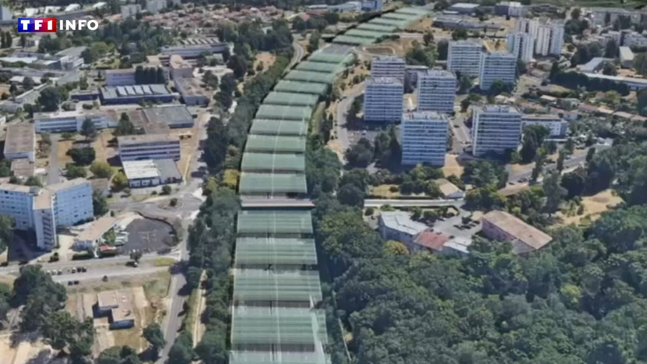 VIDÉO - Bordeaux : bientôt des milliers de panneaux solaires au-dessus de la rocade ?