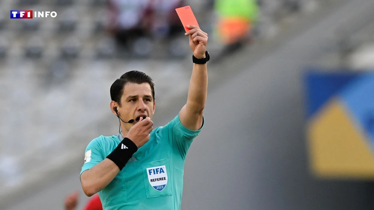 VIDÉO - Football : en Turquie, un arbitre roué de coups par des joueurs après un match