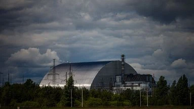 Des chiens au pelage bleu observés aux abords de la centrale de Tchernobyl