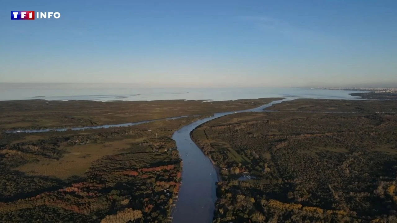 VIDÉO - Argentine : la vie au fil de l’eau dans le menacé Delta du Tigre