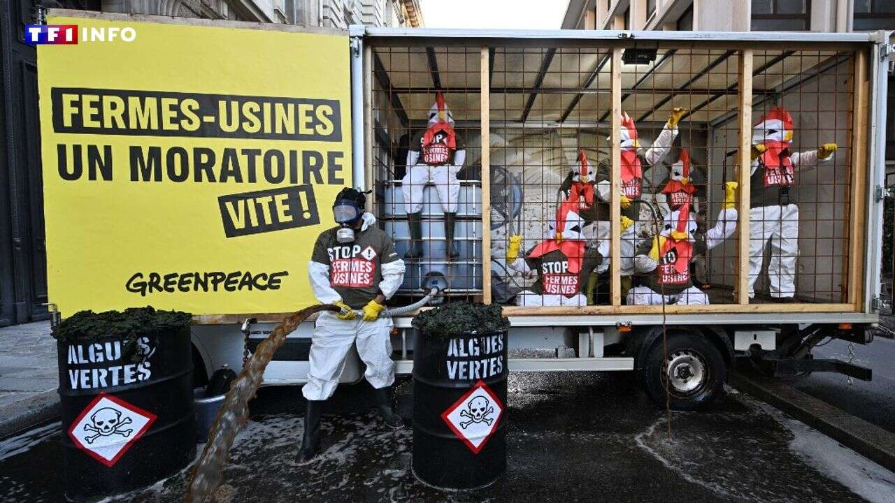 Greenpeace déverse deux tonnes de lisier devant le ministère de l'Agriculture contre les 