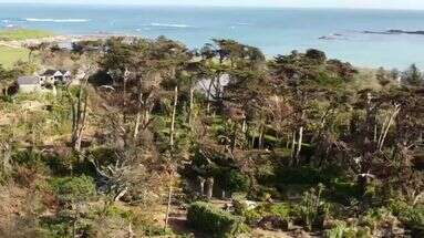 Finistère : dévasté par la tempête Ciaran, le jardin Georges Delasselle espère rouvrir le 1ᵉʳ mai