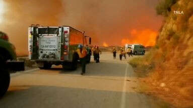 Incendies en Californie : 80.000 hectares de terres dévastées et des milliers d'évacuations