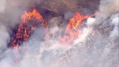 Incendies en Californie : les pompiers sous pression face à une vague de chaleur exceptionnelle