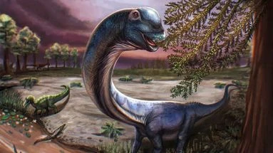 Découvrez le nagalitan, le plus grand dinosaure jamais découvert en Asie du Sud-Est