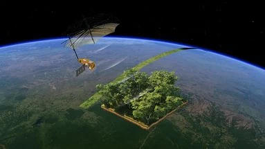 Perché à 650 km d'altitude, le satellite européen Biomass va surveiller l'état des forêts sur la Terre