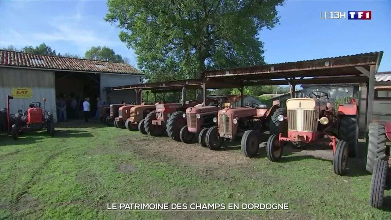 En Dordogne, ces passionnés de tracteurs bichonnent le patrimoine agricole de la région