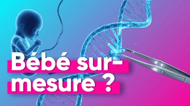 A la recherche de l'embryon 
