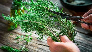 Cette plante emblématique de la cuisine méditerranéenne vous aide à lutter contre la fatigue et les douleurs articulaires et musculaires