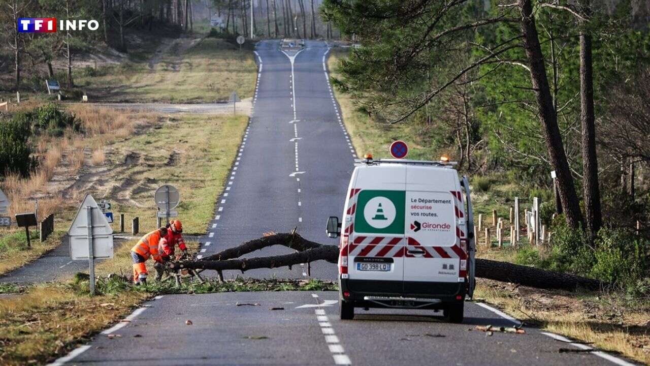 VIDÉO - Incendie, sécheresse, tempêtes… À La Teste-de-Buch, la forêt 