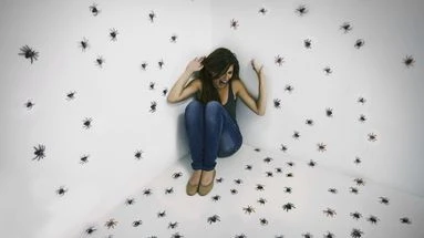 Vous avez peur des araignées ou des serpents ? Vous êtes sans doute biophobes et c'est dangereux pour la nature