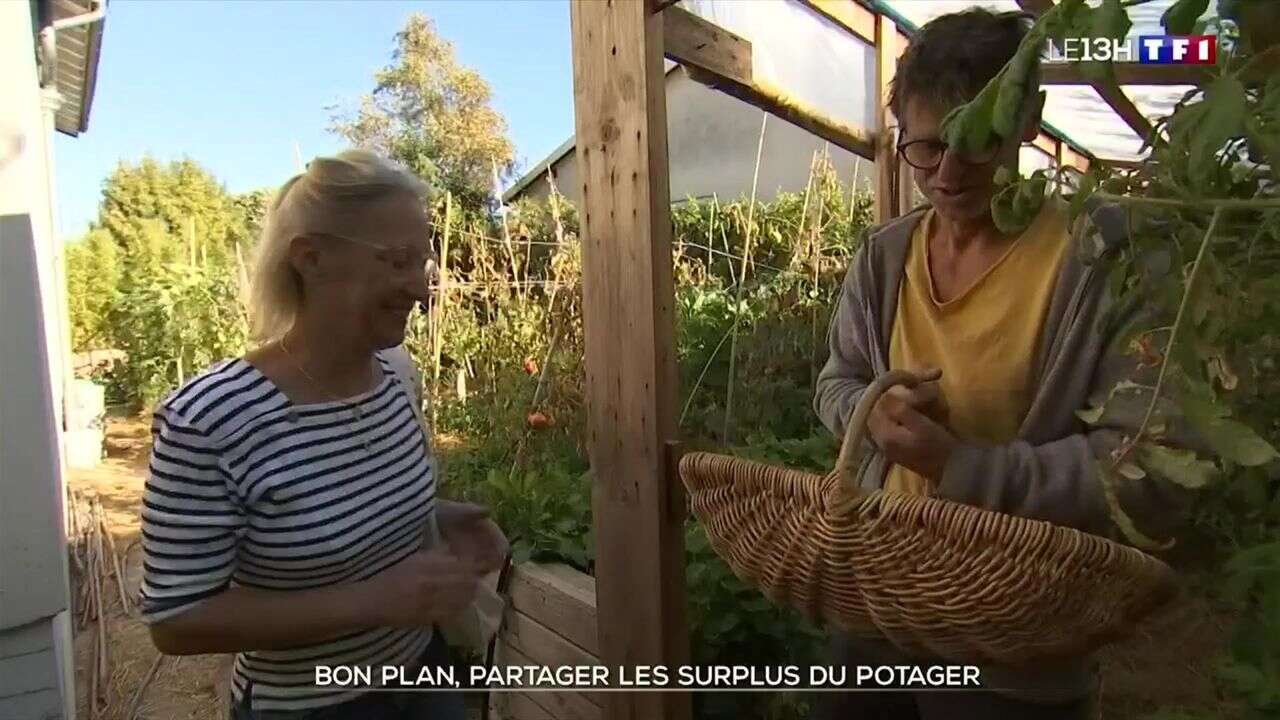 Bon plan : partager les surplus du potager