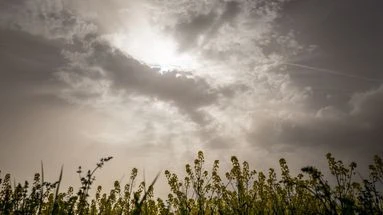 La Martinique et la Guadeloupe sous les poussières du Sahara : comment expliquer ce phénomène ?