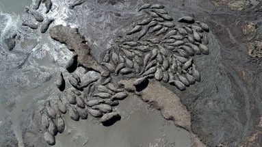 De l'Amérique à l'Océanie : comment El Niño affecte les différentes régions du monde