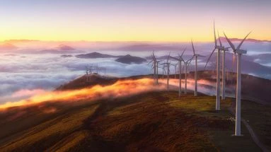 Des parcs mis à l'arrêt par la justice : comment continuer à développer l'éolien en France ?
