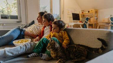 Les chats regardent-ils la télévision quand ils sont à côté de nous ?