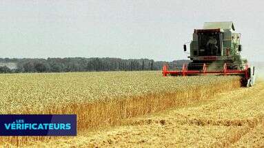 VÉRIF' - En 20 ans, la France est-elle passée du 2ᵉ au 6ᵉ rang mondial en matière d'exportation de produits agricoles ?