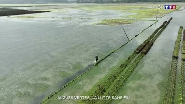 Algues vertes : la lutte sans fin
