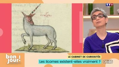Le cabinet de curiosités : Les licornes existent-elles vraiment ?