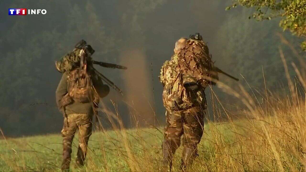 VIDÉO - Photographes animaliers : la chasse au cliché parfait