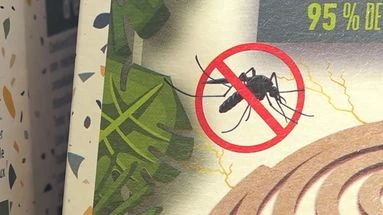Moustiques-tigres, punaises de céréales… Comment lutter contre nos (petits) ennemis de l'été ?