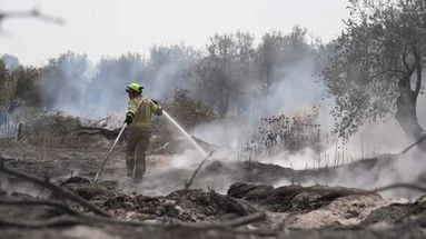 Israël : les images des dégâts des feux désormais sous contrôle aux abords de Jérusalem