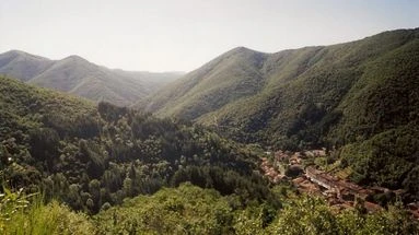 Gard : recherché depuis des heures, un randonneur retrouvé épuisé dans les bois en plein milieu de la nuit