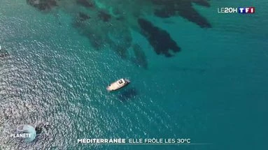 Méditerranée : elle frôle les 30 °C