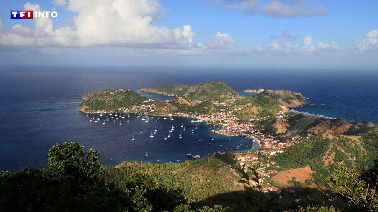 Avion disparu au large de la Guadeloupe : les cinq passagers sont décédés