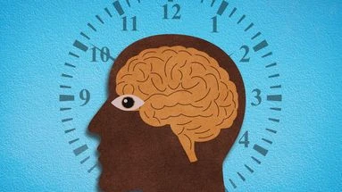 Sommeil, alimentation, santé… Comment votre horloge biologique dicte votre vie ?