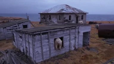 Russie : les images d'une famille d'ours polaire dans une station de recherche abandonnée