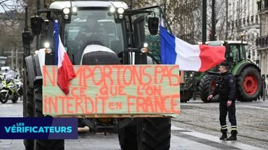 VÉRIF' - 20.000 tonnes de viande de bœuf produites au Mexique vont-elles être importées en Europe 