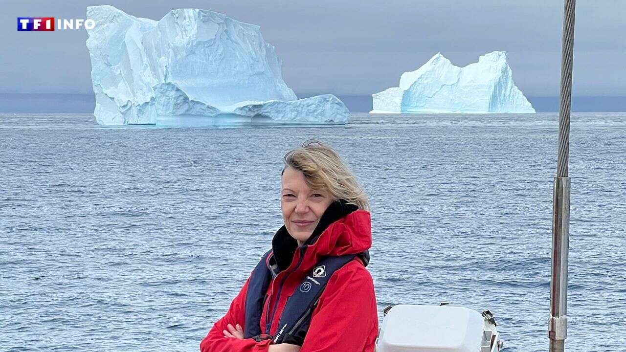 Manchots, iceberg et mal de mer : notre périple en Antarctique à bord du voilier Persévérance de Jean-Louis Etienne