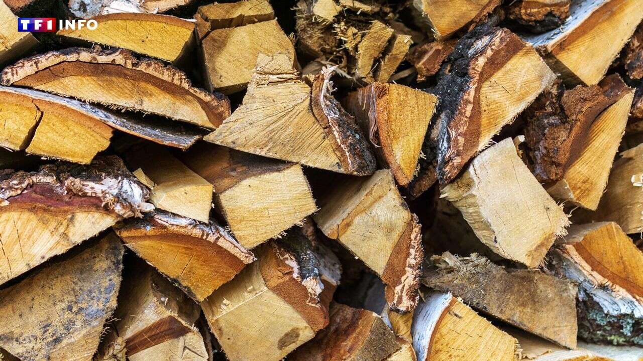 Chauffage : a-t-on le droit de couper du bois en forêt ?