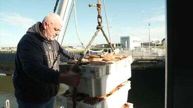 Coquilles Saint-Jacques trop petites : un bateau britannique dérouté au Havre