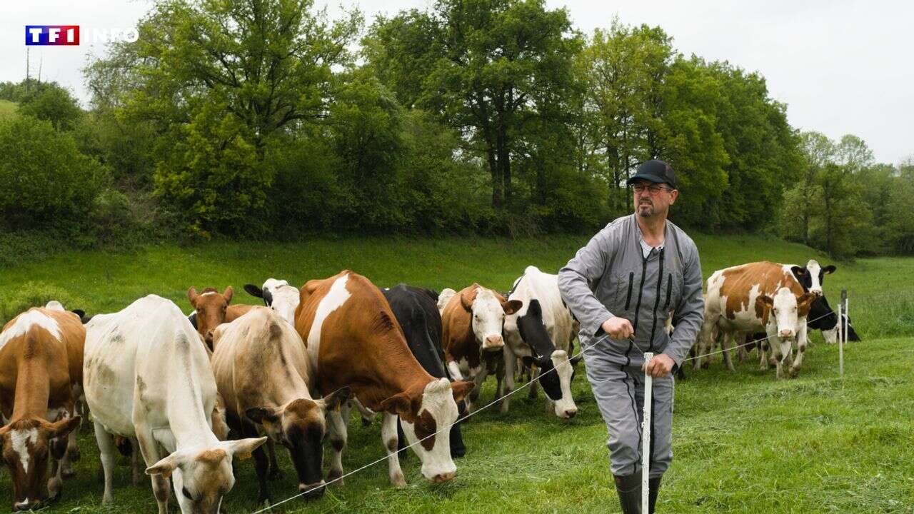 Agriculture : le plan de la France pour gérer les départs massifs à la retraite