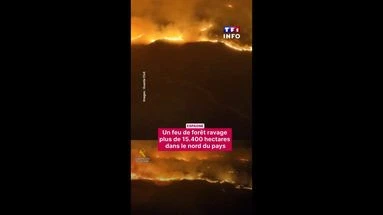 Espagne : plus de 15 400 hectares ravagés par un incendie