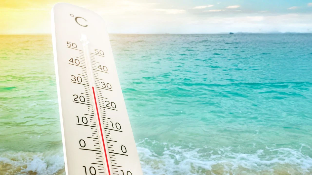 VIDÉO - Canicule marine : quelles sont les conséquences du réchauffement des mers et des océans ?