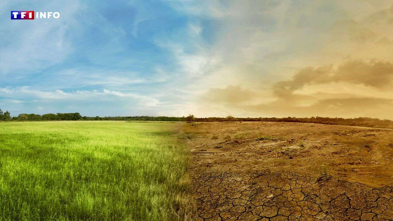 Sécheresse puis trop d’eau : sale(s) temps pour les agriculteurs