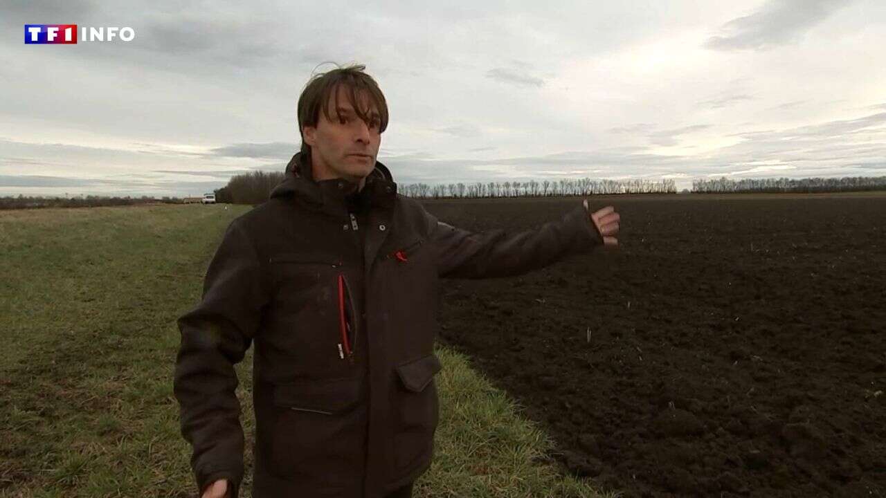 Agriculture : l'obligation de laisser des terres en jachère, cet autre motif de colère