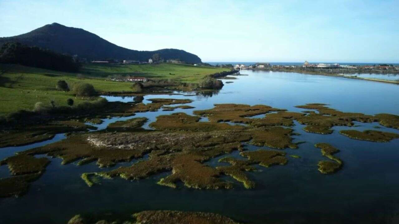 REPORTAGE - Les marais de Santoña : le sanctuaire espagnol des oiseaux migrateurs