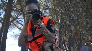 Feux de forêt : comment les équipes spécialisées enquêtent pour remonter jusqu'au coupable ?
