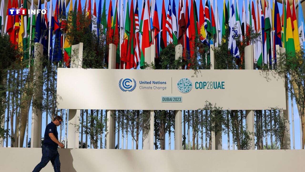 QUIZ - COP28 : Quels sont les enjeux du dérèglement climatique ? Testez vos connaissances