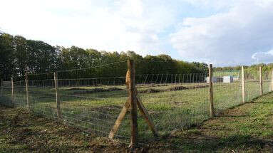 Les grillages, ces pièges mortels pour les animaux en France