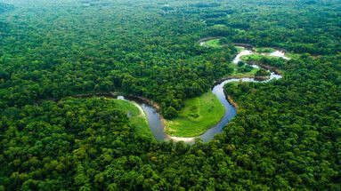 Brésil : des images inédites d'une communauté indigène isolée de l'Amazonie dévoilées